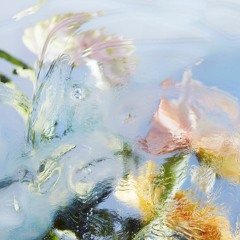 4EU3 - SUMMER NIGHTS 15