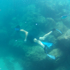Project 5