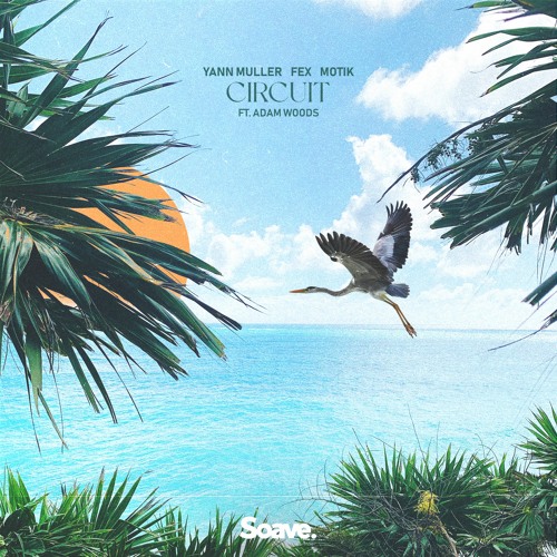 Yann Muller, Fex & Motik - Circuit (ft. Adam Woods)