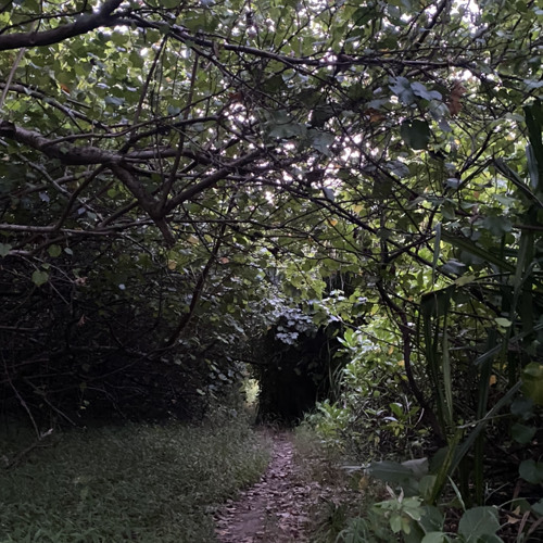 تلك العتمة الباهرة