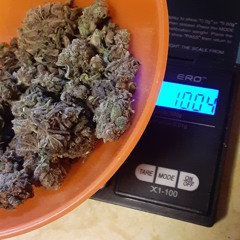 Se7ent10 - Not Today