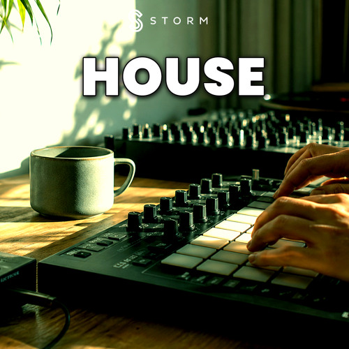 Stream Storm Music Group | Listen to House 2026 🔥 Club House, Chill ...