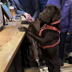 Whats Poppin 3mix (2020 R3wind)