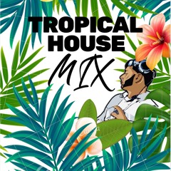 Tropical House / Chill House