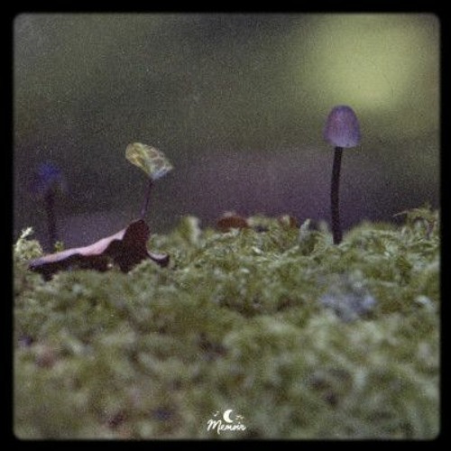 Foxwood - Two For Joy