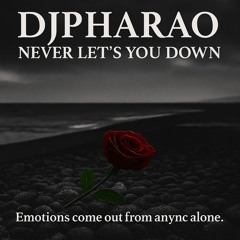 NEVER LET'S YOU DOWN