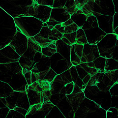 Sad Neurons