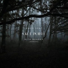 Julia Kent - Salt Point (Rith Banney Rework)