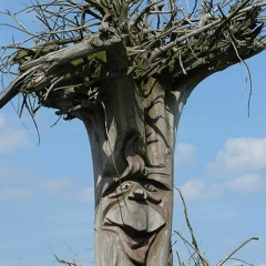 wiiiiiLeSeeeDddddiii (extract)