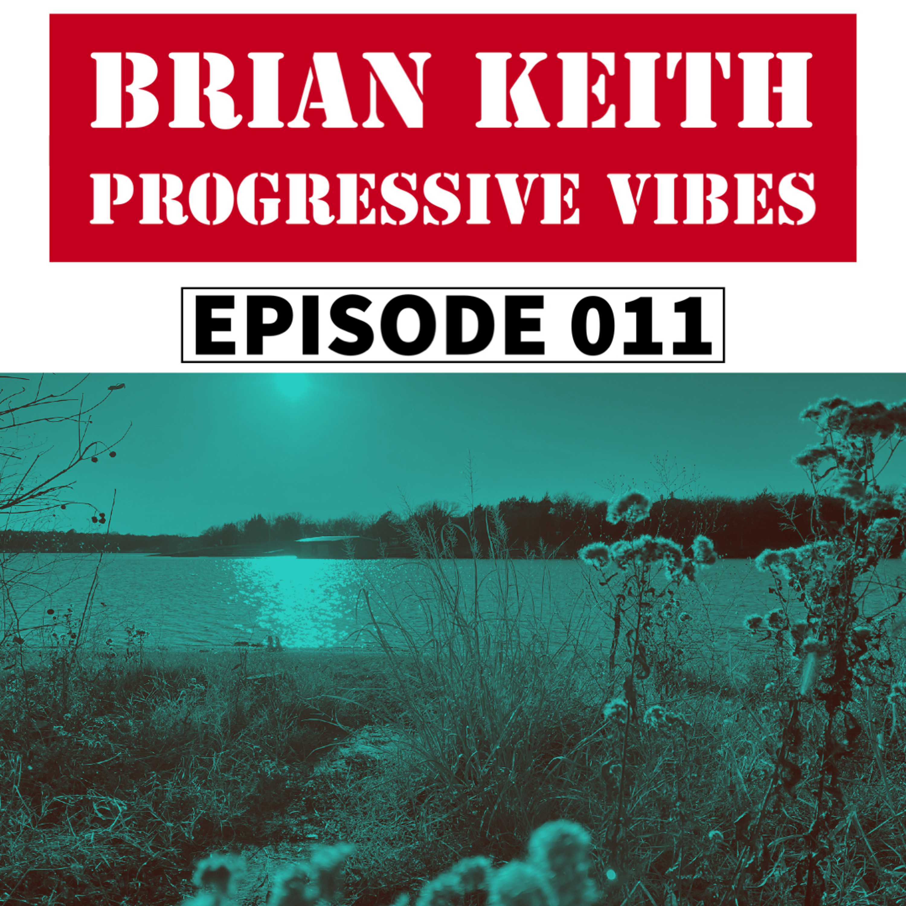 Brian Keith - Progressive Vibes