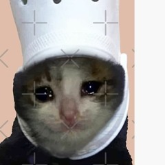 Der Sad To Katte På Et Bord (Bjarke Mix)