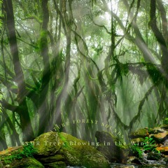 Nature Forest Sounds