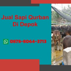 【 WA 0878-8064-3713】 Jual Sapi Qurban Depok, Bojongsari, Cilodong, Cimanggis, Cinere, Cipayung
