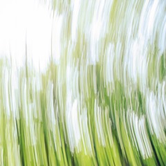 Sunrise in the Forest - ambient music