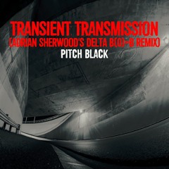 Pitch Black - Transient Transmission (Adrian Sherwood's Delta B(0)=B Remix)(preview)