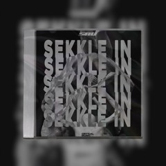 HALOGENIX & SPARKS - SEKKLE IN (SAV EDIT)