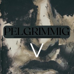 Pelgrimmig V
