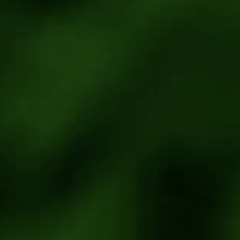 garden of eden