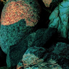 Operation Mockingbird