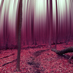 Forest Psyhology 002