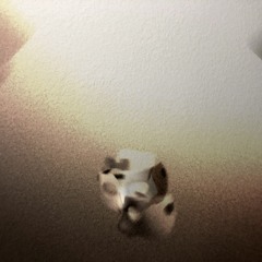 The Protocol (Intro)