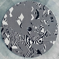 Premiere: Marco Bruno - Moonward (The Fear Ratio Remix) [EVIGHET004]