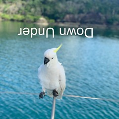 Яхтинг