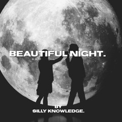 BEAUTIFUL NIGHT.mp3