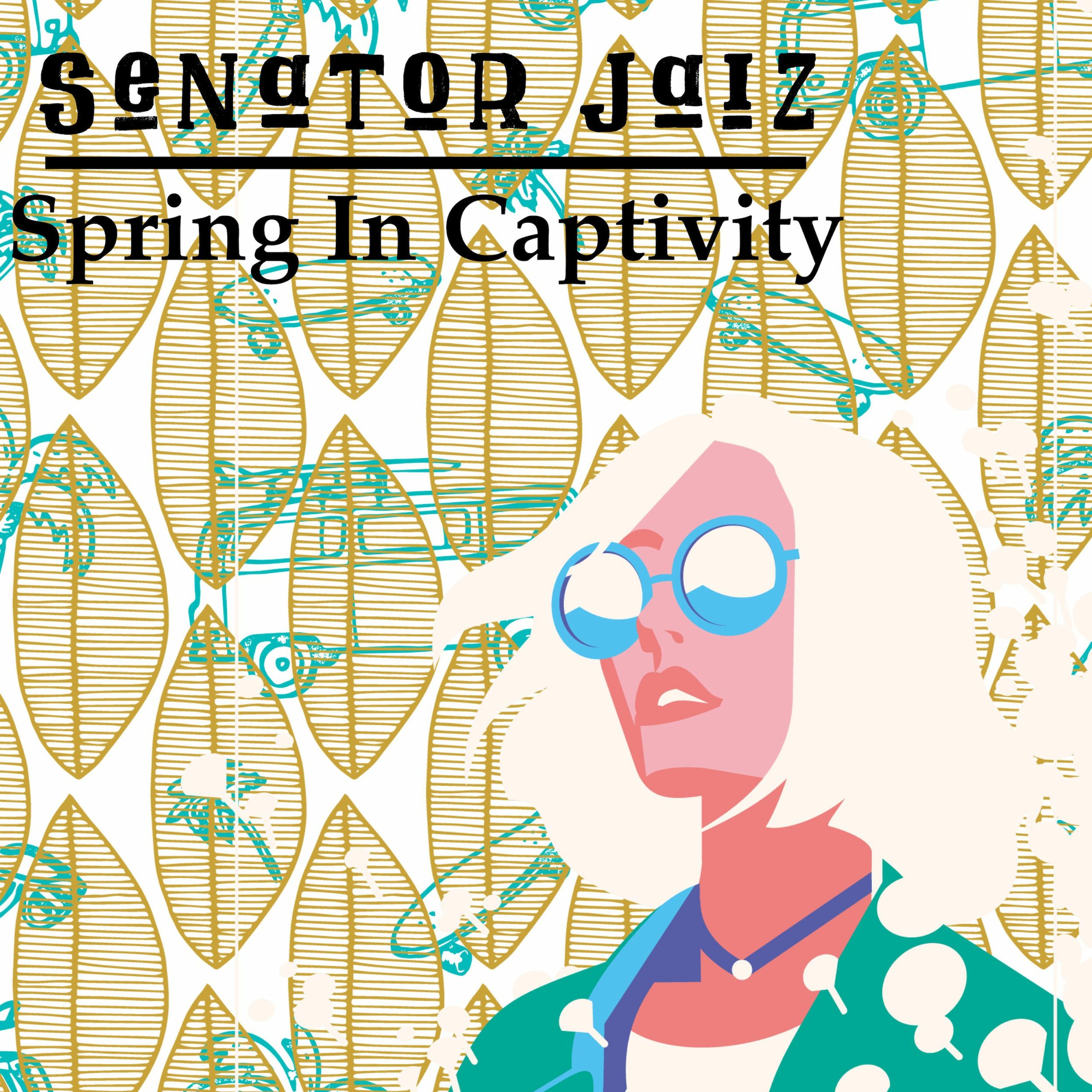 Senator Jaiz