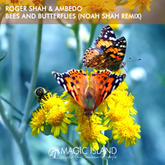 Bees And Butterflies (Noah Shah Extended Remix)