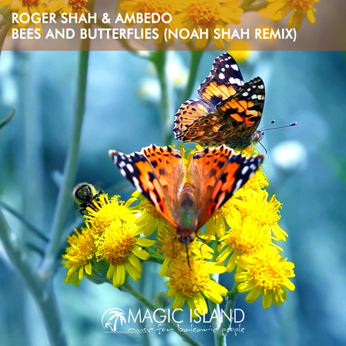 Bees And Butterflies (Noah Shah Extended Remix)