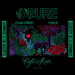 PURE at CAFE DEL MAR w/ TORUS 310825