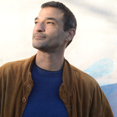 L'asile poétique [version Collectif Solide]