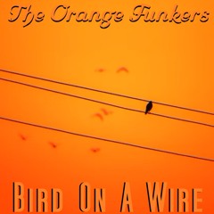 The Orange Funkers - Bird On A Wire