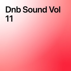 Dnb Sound Vol 11