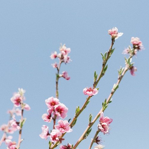 the image of me in a room full of emotion