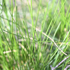 ACOUS-TICK (first rendering)