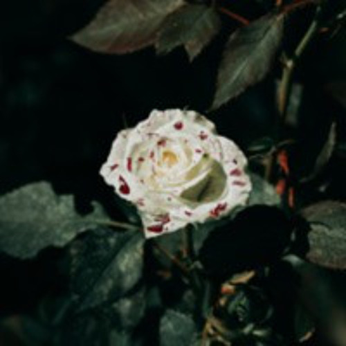 Painted Red w/ Ken Cavanaugh