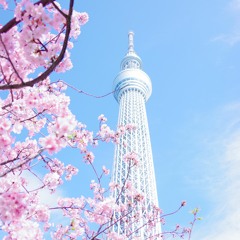 Kawaii_future_bass_study