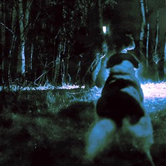 MLTB - Sketchy Creation With Dog Samples