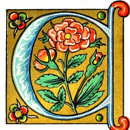 Isolation And Friendship