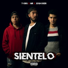 T-DBS & MR - Sientelo (feat. Josh Deer)