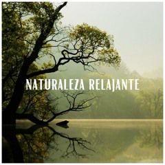 Pájaros cantores