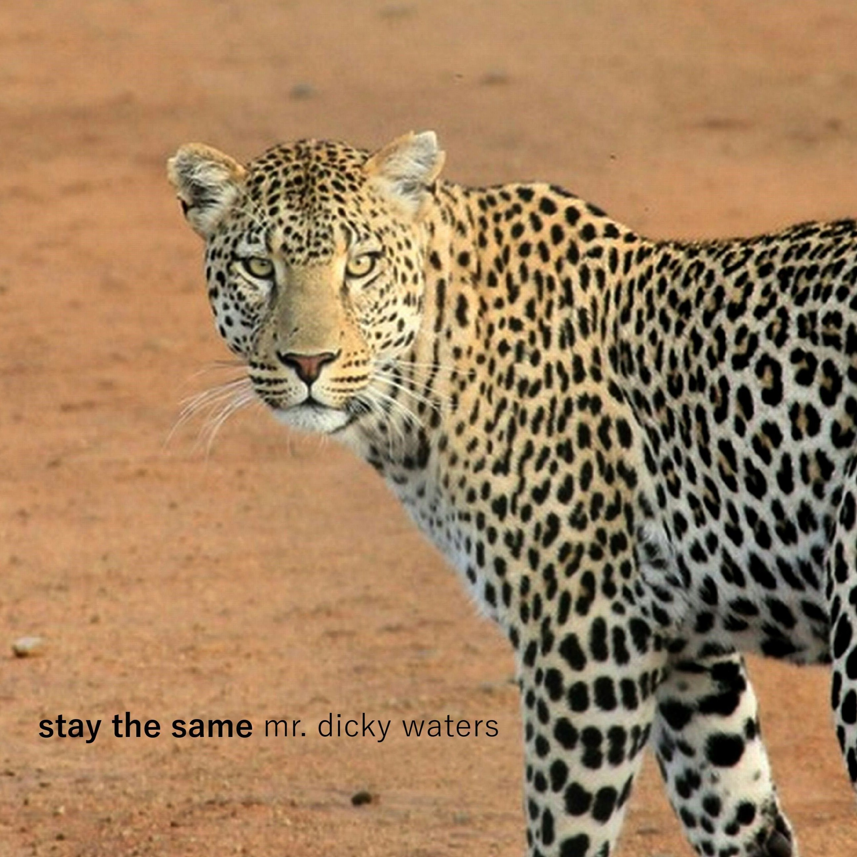 Stay The Same {demo} episode artwork