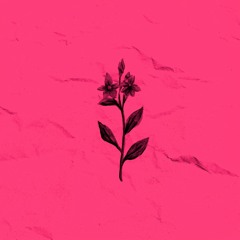 The Flora Project - Sunshine Girl (Hyperpop Remix)