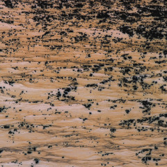 Premiere: Juan Evangelista & Autonoe - Desierto en Llamas [No Lineal]