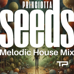 Princiotta - Seeds (Melodic House Mix)