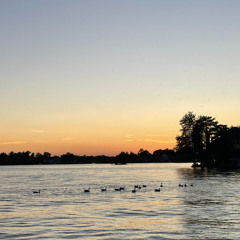 Which Will (Nick Drake cover)