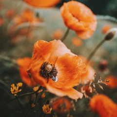 Transformation Through Surrender