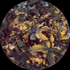 PREMIERE: Caesar - Memories